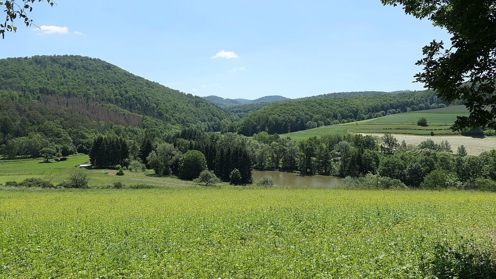 Kellerwaldsteig