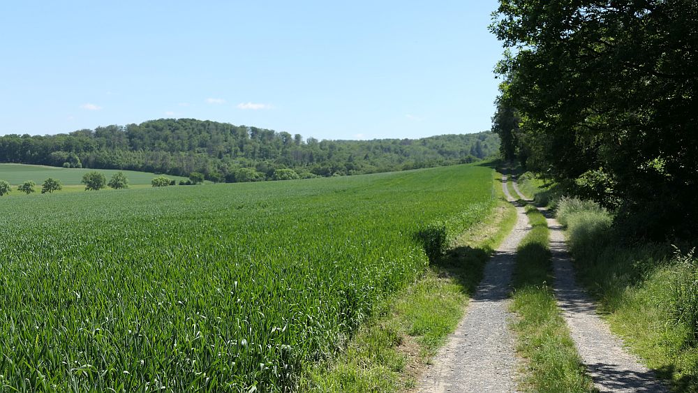 Kellerwaldsteig