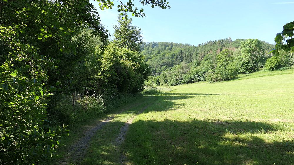 Kellerwaldsteig
