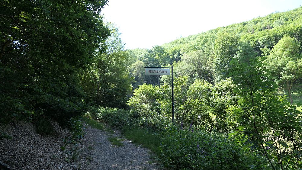Kellerwaldsteig