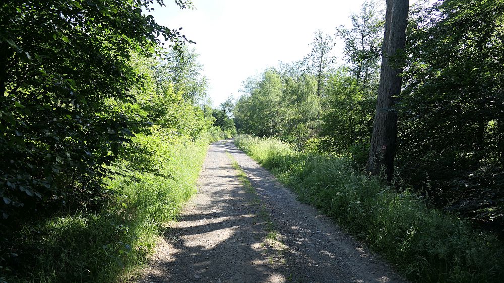 Kellerwaldsteig