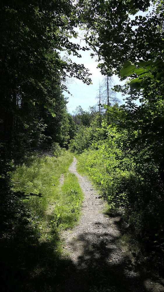 Kellerwaldsteig