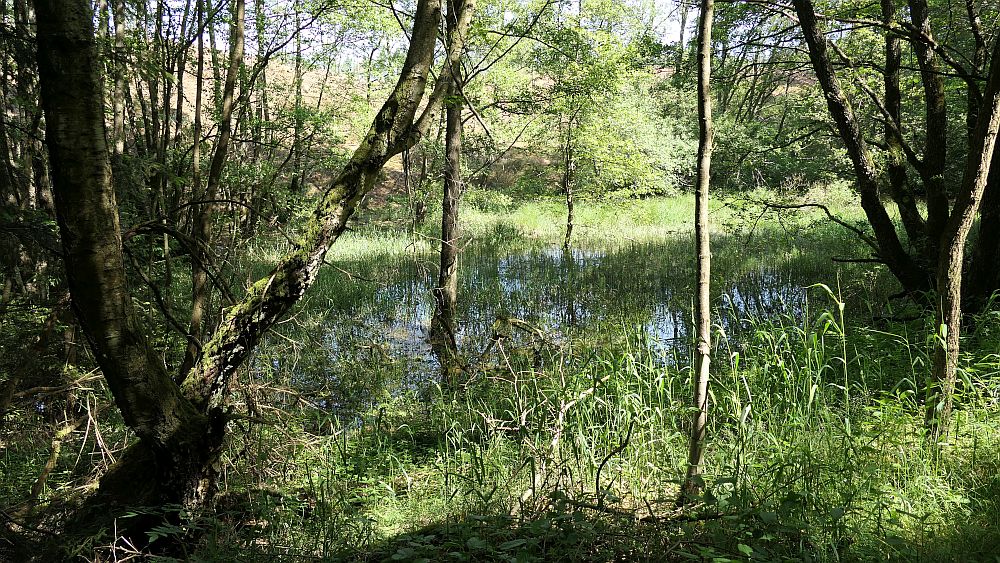 Kellerwaldsteig