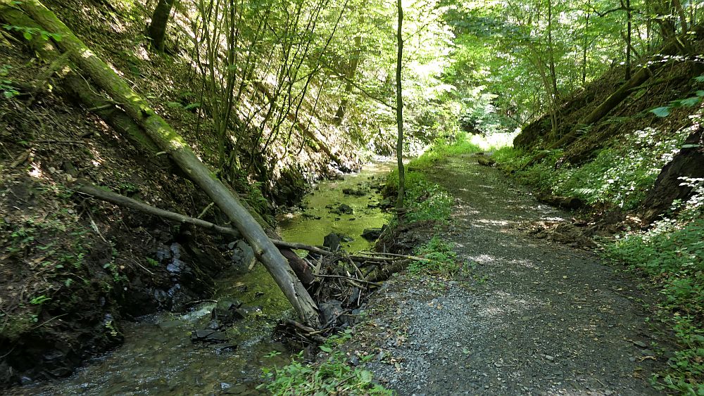 Kellerwaldsteig