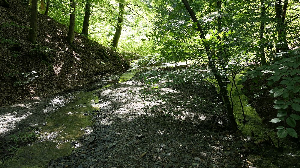 Kellerwaldsteig