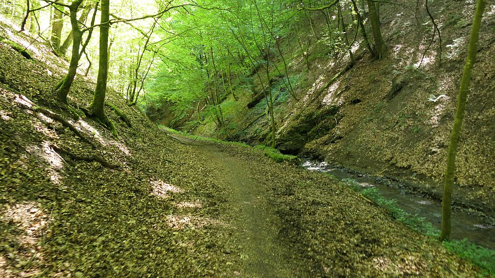 Kellerwaldsteig