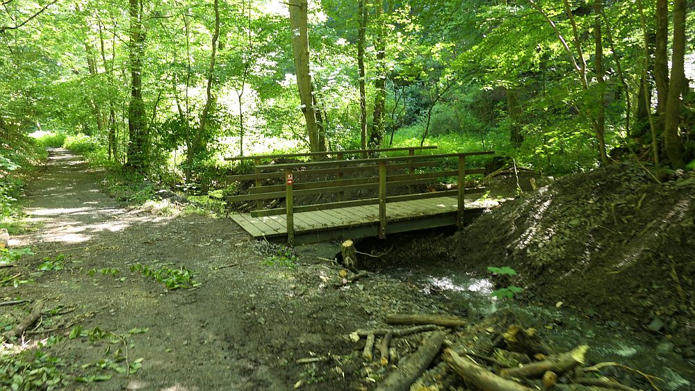 Kellerwaldsteig