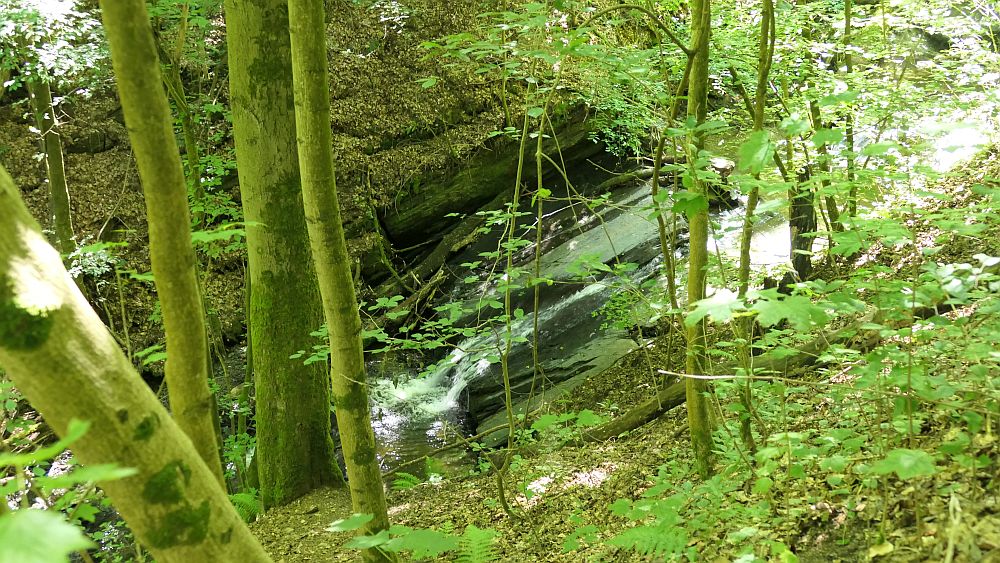 Kellerwaldsteig
