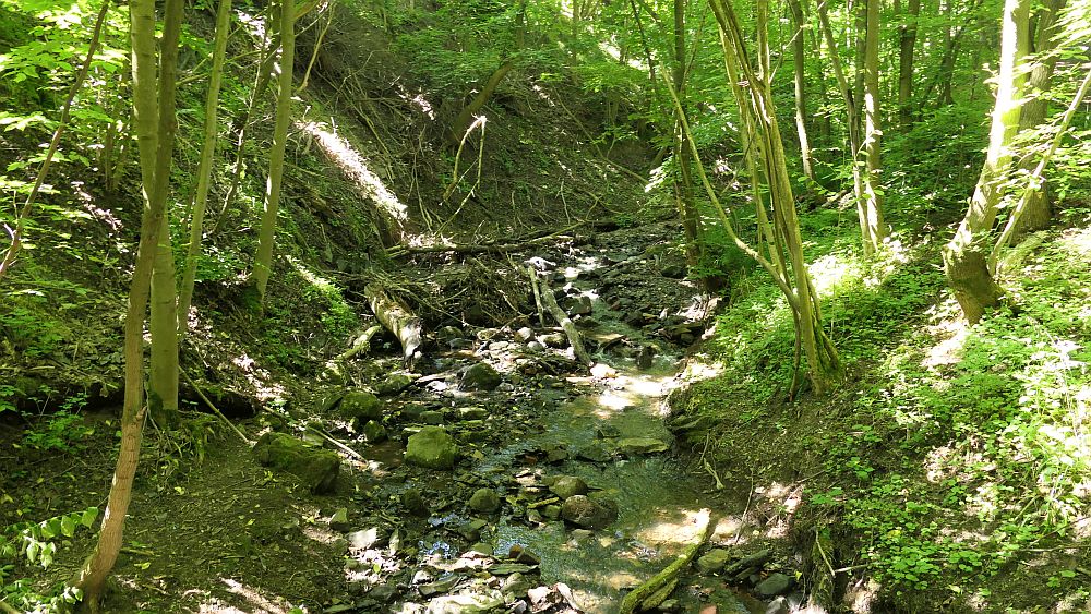 Kellerwaldsteig