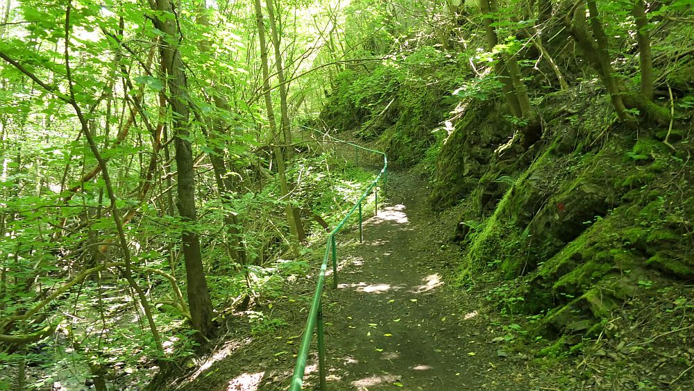Kellerwaldsteig