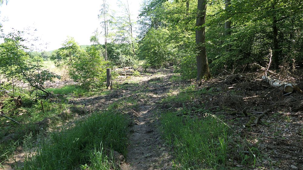 Kellerwaldsteig