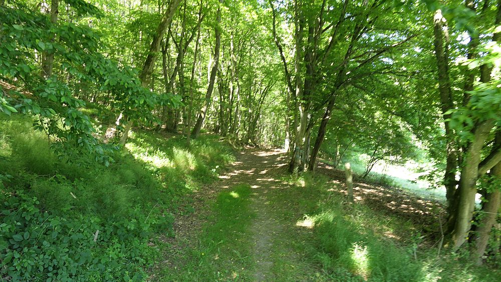 Kellerwaldsteig