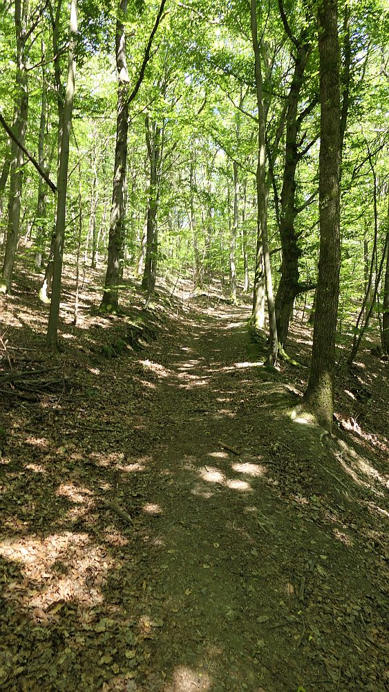 Kellerwaldsteig