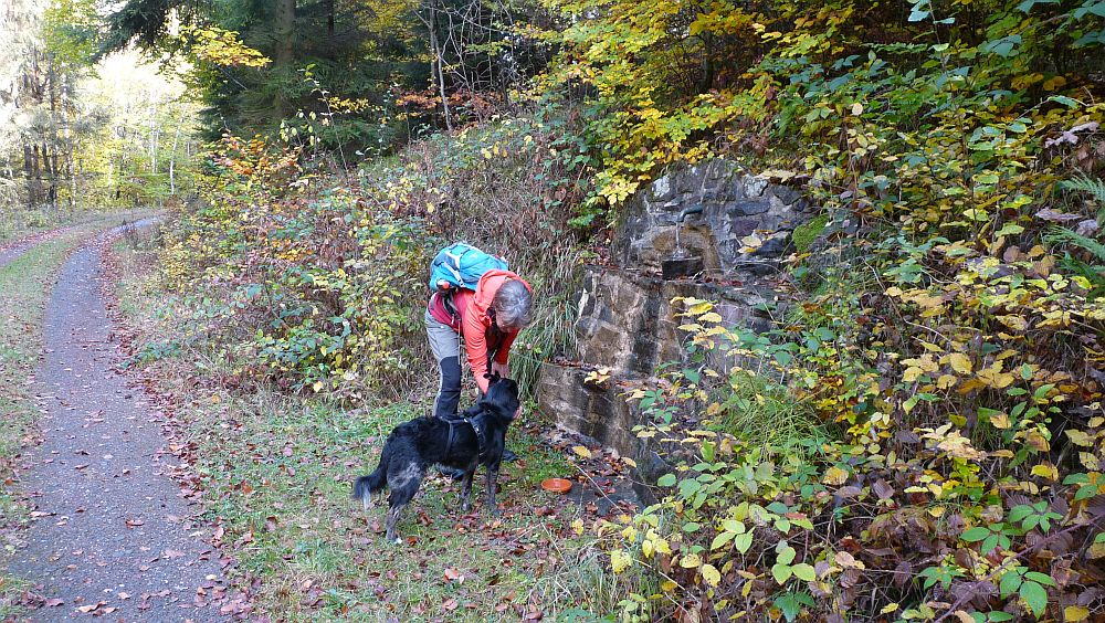 Kellerwaldsteig