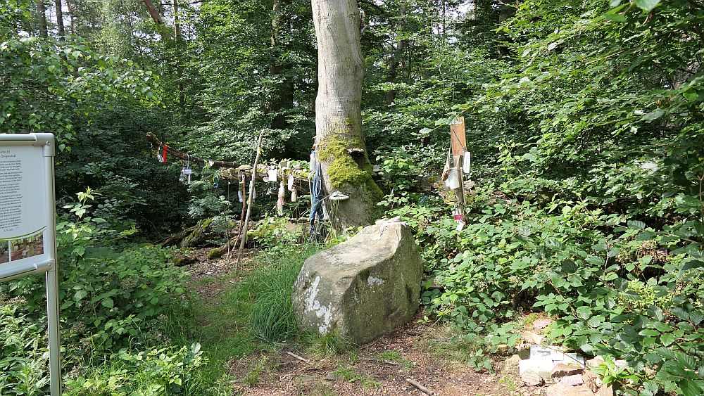 Kellerwaldsteig