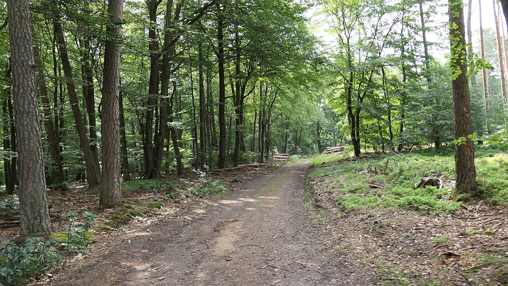 Kellerwaldsteig