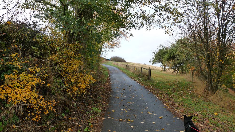 Kellerwaldsteig