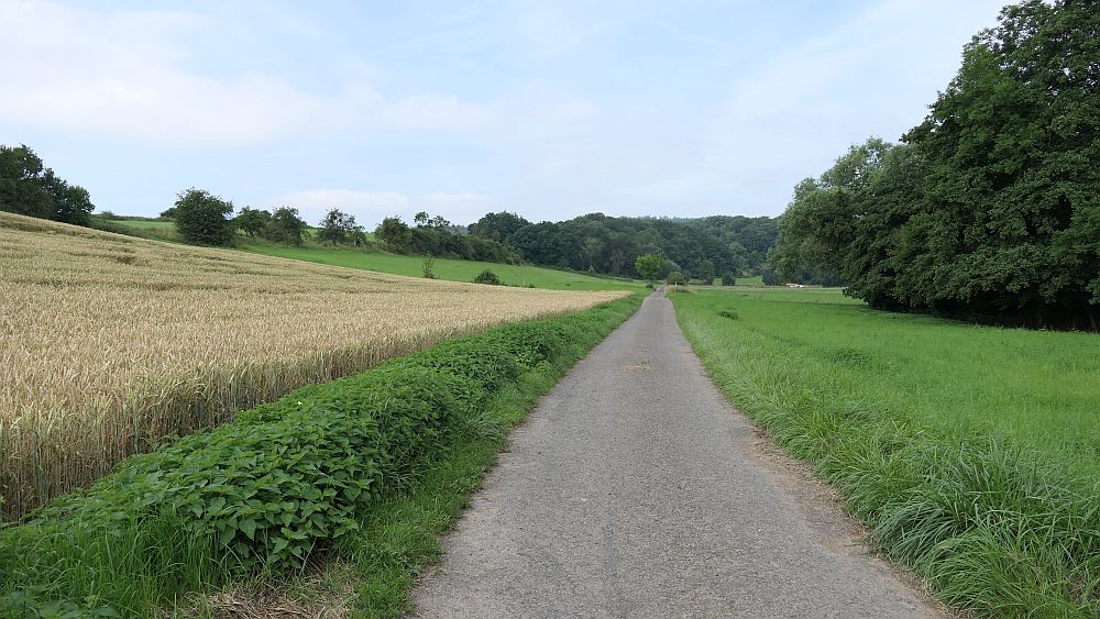 Kellerwaldsteig