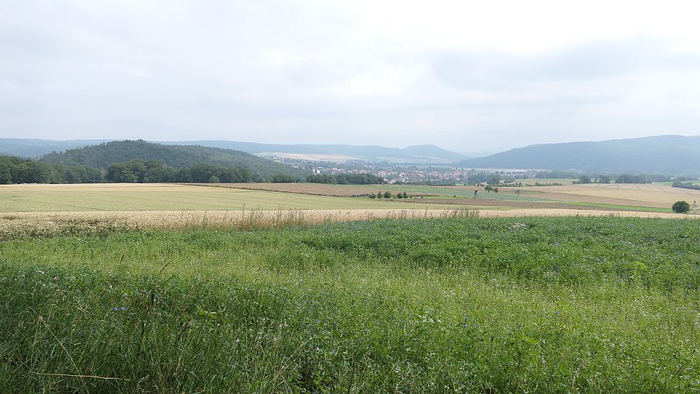 Kellerwaldsteig