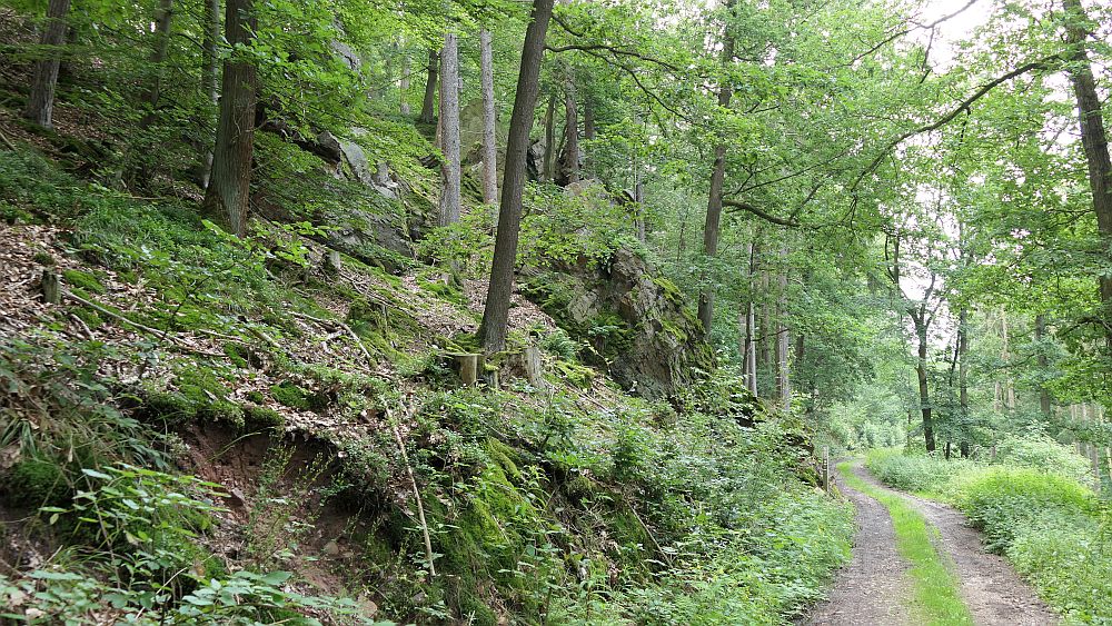 Kellerwaldsteig