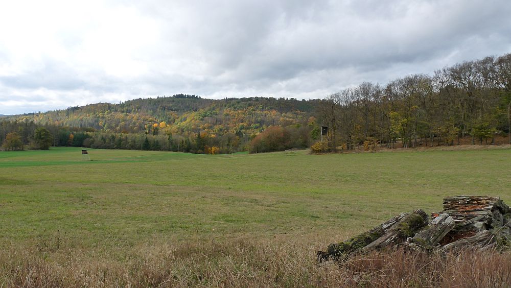 Kellerwaldsteig