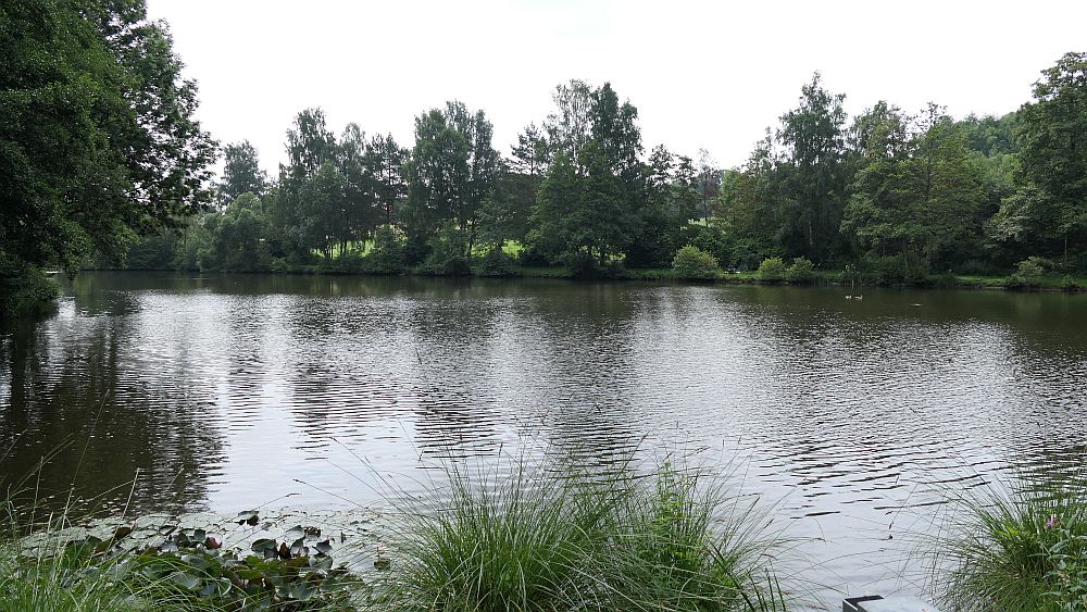 Kellerwaldsteig
