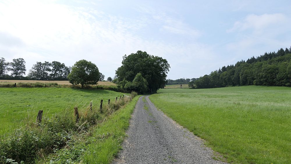 Kellerwaldsteig