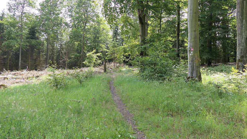 Kellerwaldsteig