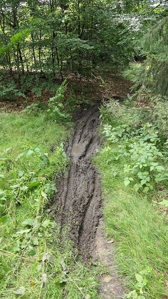Kellerwaldsteig