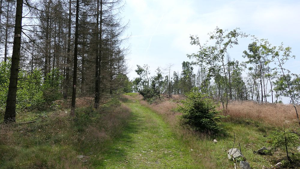 Kellerwaldsteig