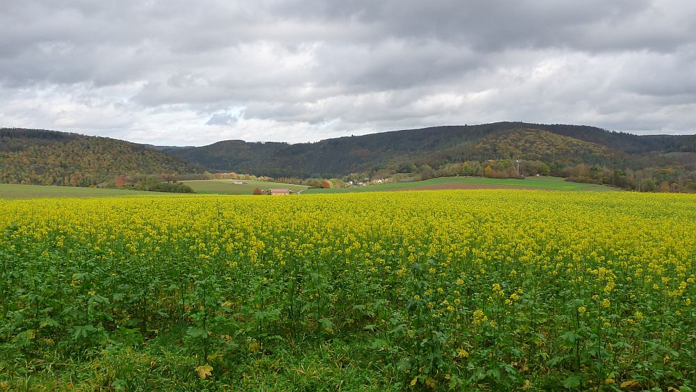 Kellerwaldsteig