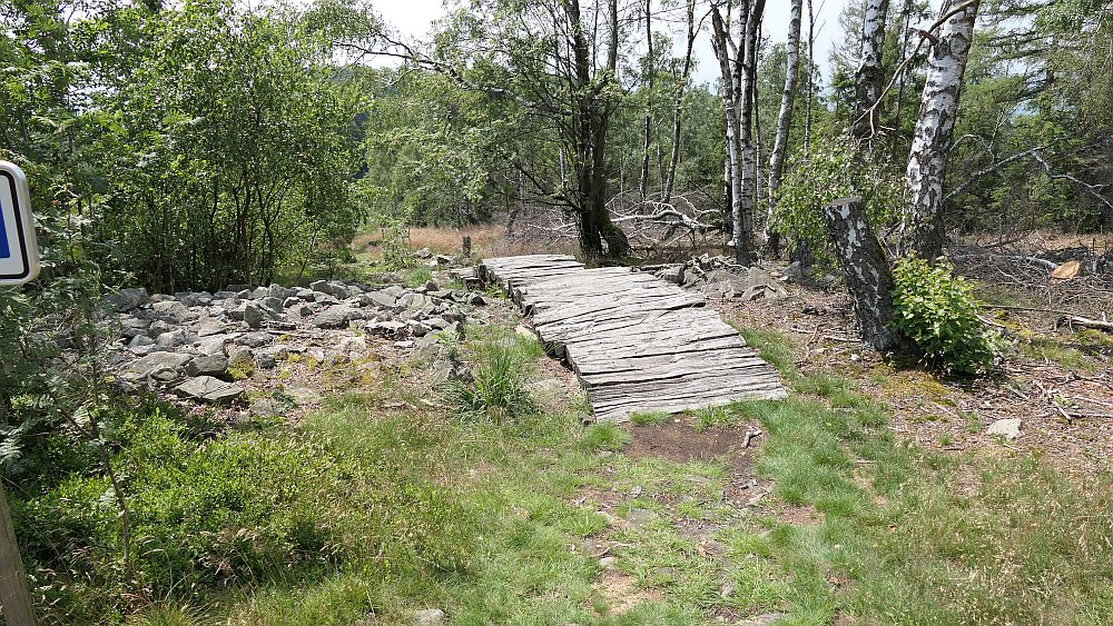 Kellerwaldsteig