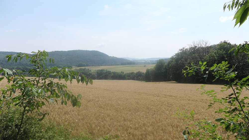 Kellerwaldsteig