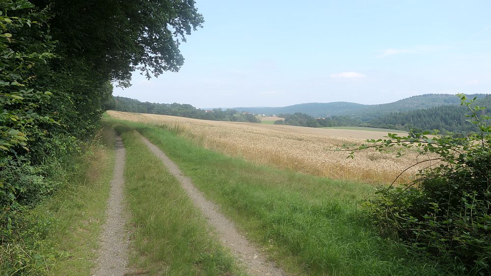 Kellerwaldsteig