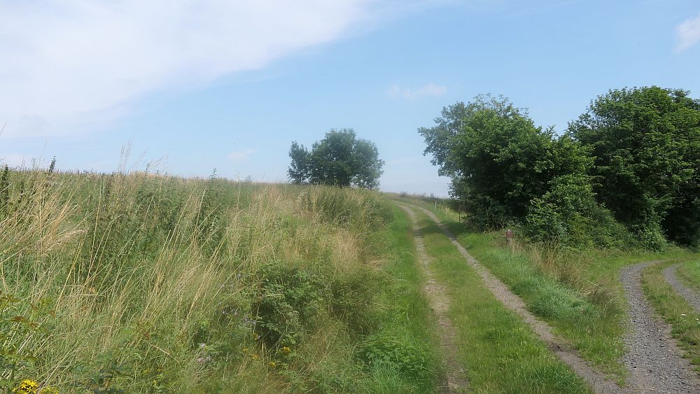 Kellerwaldsteig