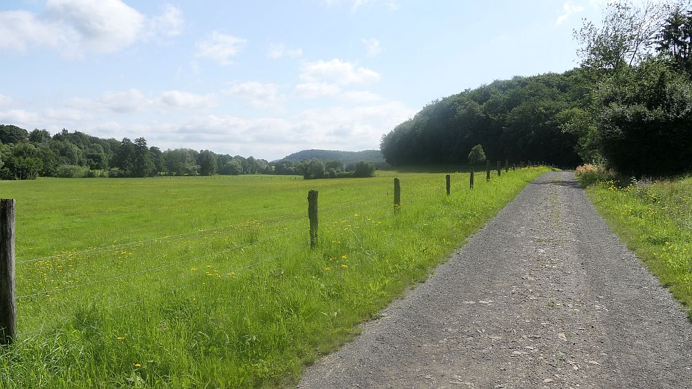 Kellerwaldsteig