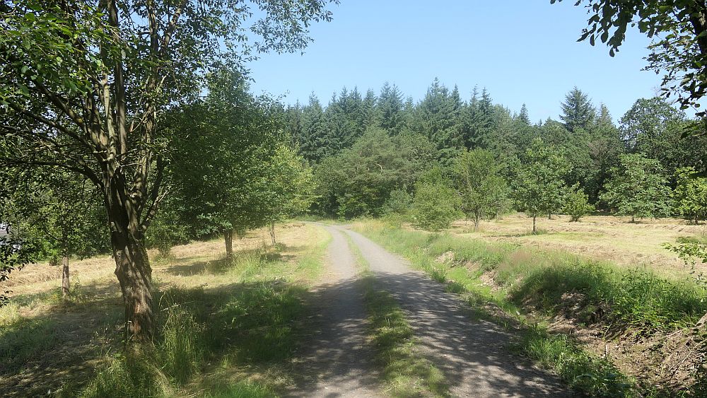 Kellerwaldsteig