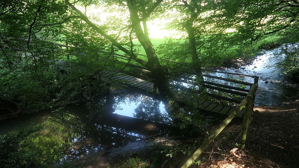 Kellerwaldsteig