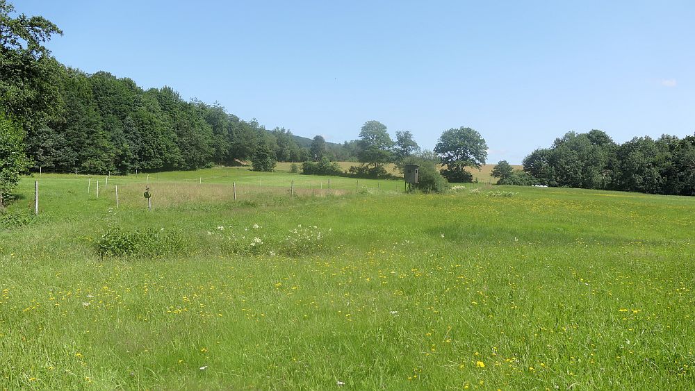 Kellerwaldsteig