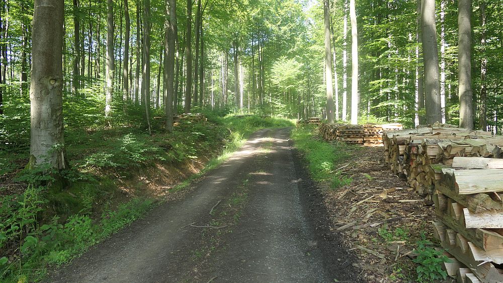 Kellerwaldsteig