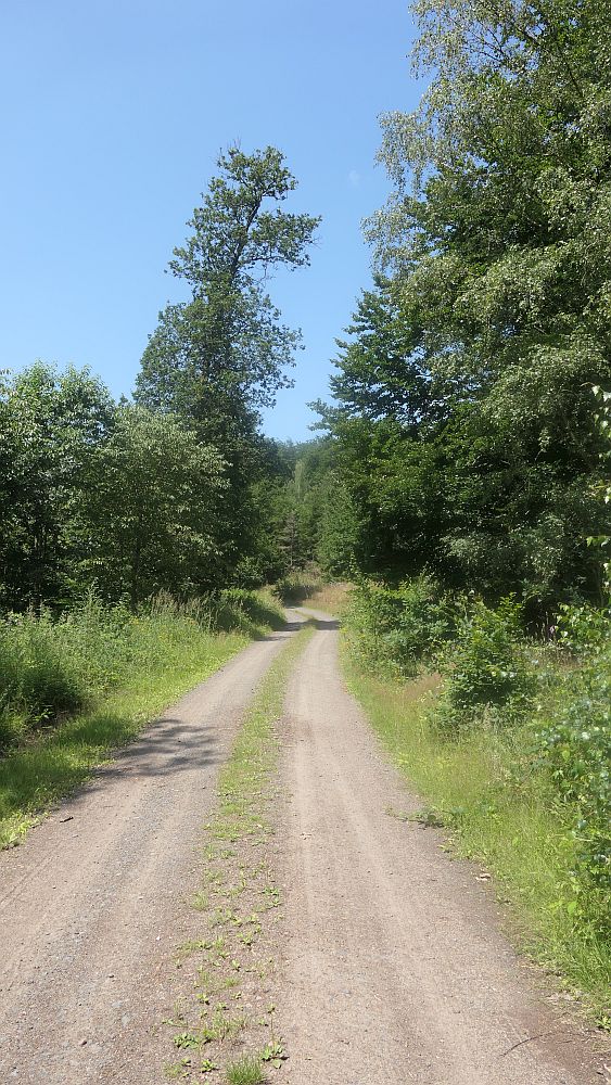 Kellerwaldsteig