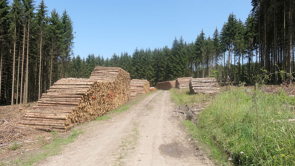 Kellerwaldsteig