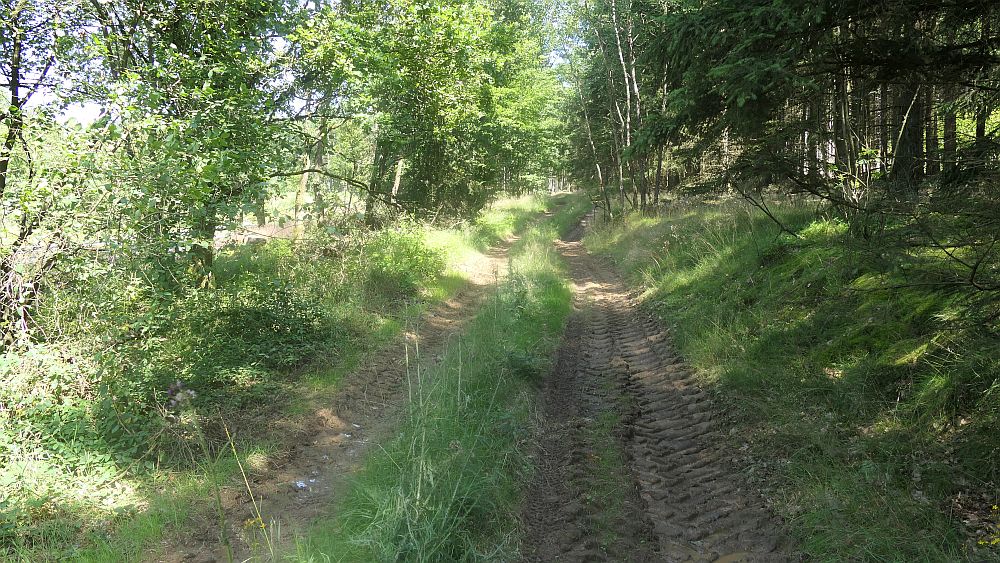Kellerwaldsteig