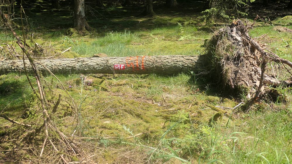 Kellerwaldsteig