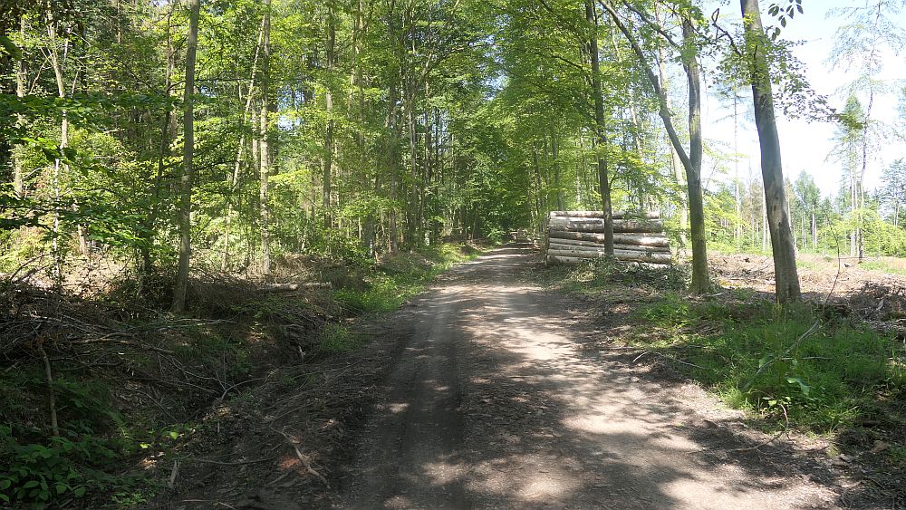 Kellerwaldsteig