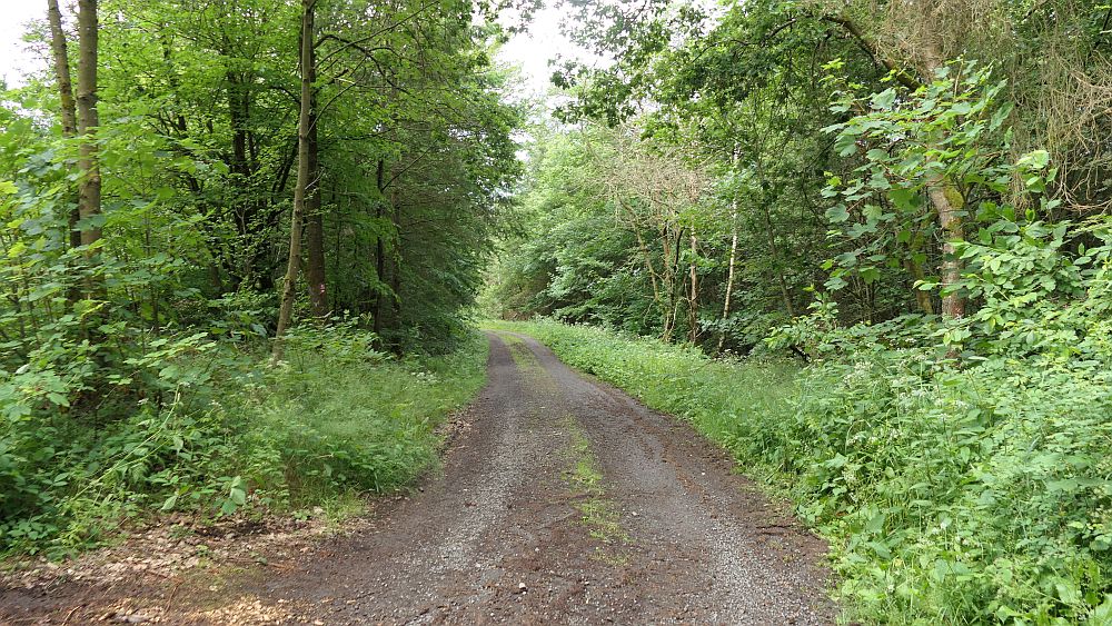 Kellerwaldsteig