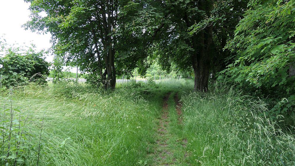 Kellerwaldsteig