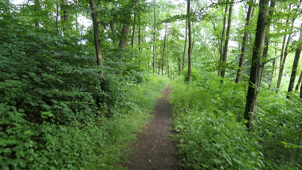 Kellerwaldsteig
