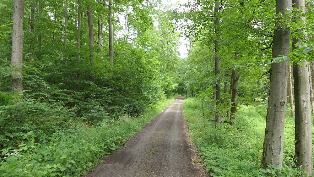 Kellerwaldsteig