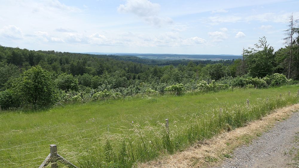 Kellerwaldsteig